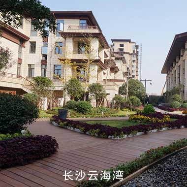 NG电子集团|国际站官网